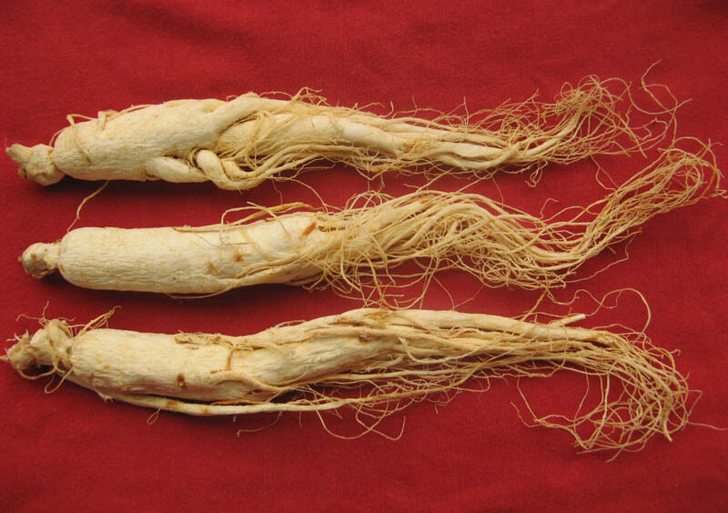 Dried white Ginseng Radix Ginseng ginseng root Tonic Reinforc Strength tea, 100G