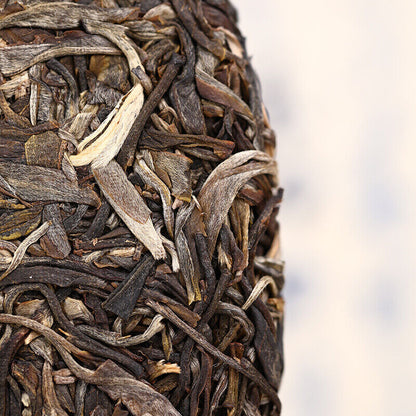 2020 Haiwan The Gathering of Plant Spirit Raw Puer Excellent Shen Puerh Tea 400g