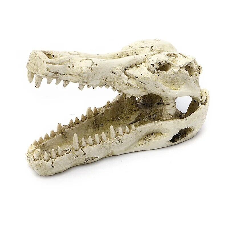 Aquarium Decoration 5" Resin Crocodile Skull Artificial Decor Fish Tank Ornament