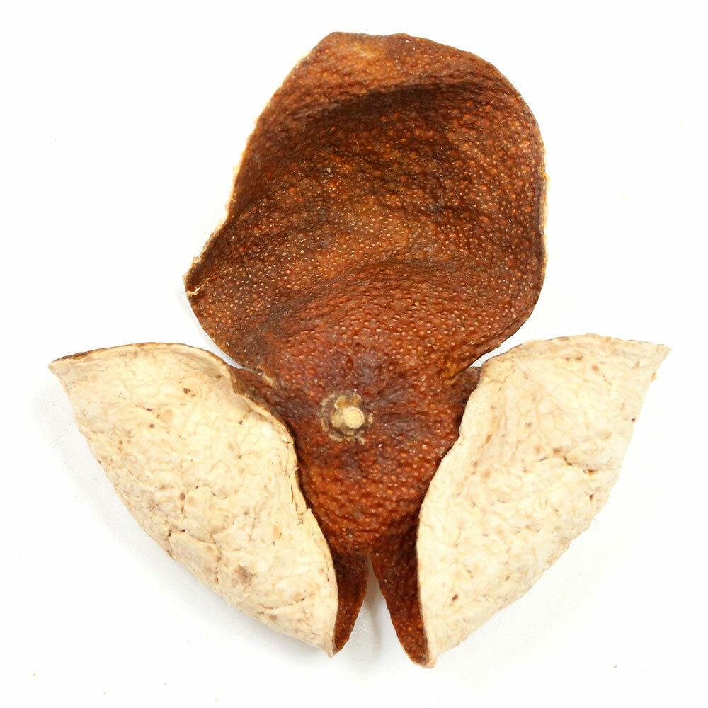 2018 XinHui "Chen Pi" TianMa Producing Area Green Dried Tangerine Peel Tea 50g