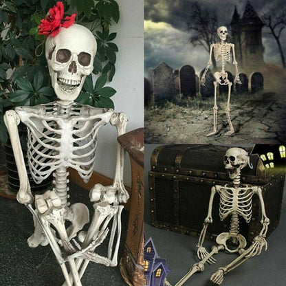 Esqueleto Poseable Tamaño Completo De La Vida Humana Halloween Decoración Fiesta