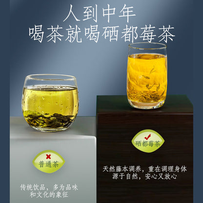 Mei Cha Natural Health Herbal Tea 神农金康 莓茶 青霜古藤茶 常备养生茶 天然健康 富含黄酮 甘露茶 又称土家神茶