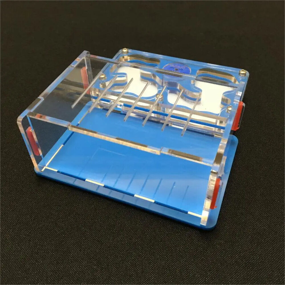 Ant-Grape Series Acrylic Plane Design Feeding Area Insect Antvilla 10.6x12.6x5cm