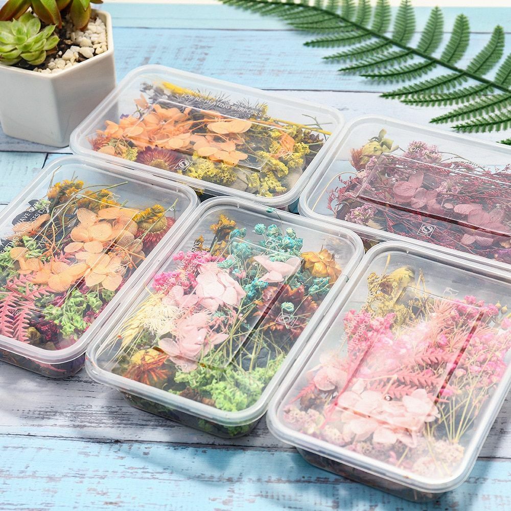 1 Box Random Real Dried Flower Resin Mold Fillings Jewelry Making Craft Supplies