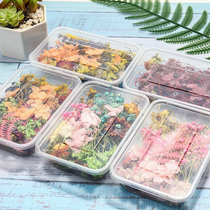 1 Box Random Real Dried Flower Resin Mold Fillings Jewelry Making Craft Supplies