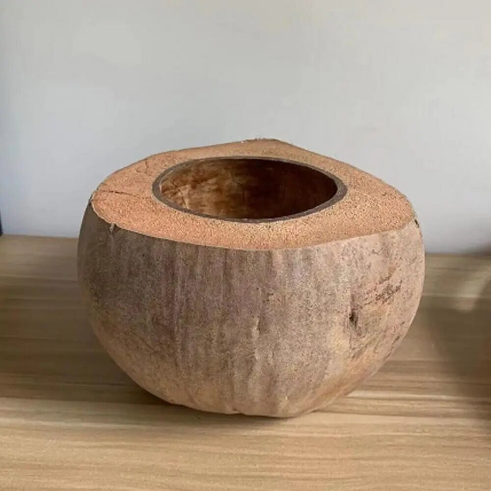 Natural Coconut Shell Bowls Multi-Purpose Decorative Handmade Storage 16x16x12cm