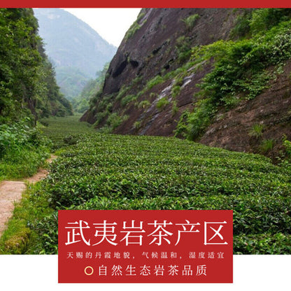 Genuine Fujian Wuyi Rock Tea Oolong Tea Shui Jin Gui Golden Water Turtle 250g