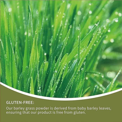 Green Tea Barley Grass Powdered Drink Gluten-Free Soy-Free Vegan & Paleo 250g