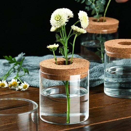 Glass Decorative Vase Hydroponic Glass Bottle Hydroponic Ecological Bottle