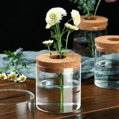 Glass Decorative Vase Hydroponic Glass Bottle Hydroponic Ecological Bottle
