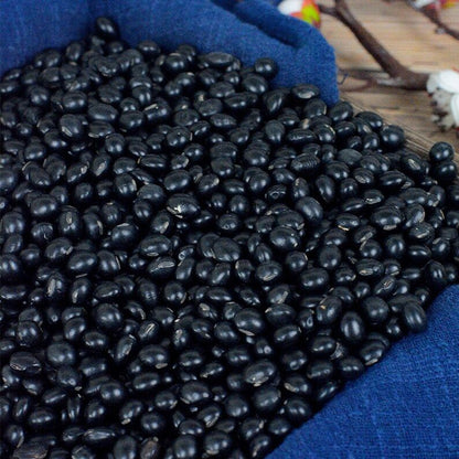Premium Soybean Glycine Edamame Sweet Black Soybean Pure Natural Herb