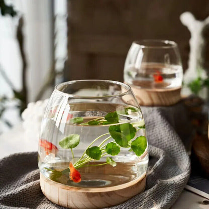 Fish Tanks Transparent Glass Wooden Tray Circular Office Small Goldfish Aquarium
