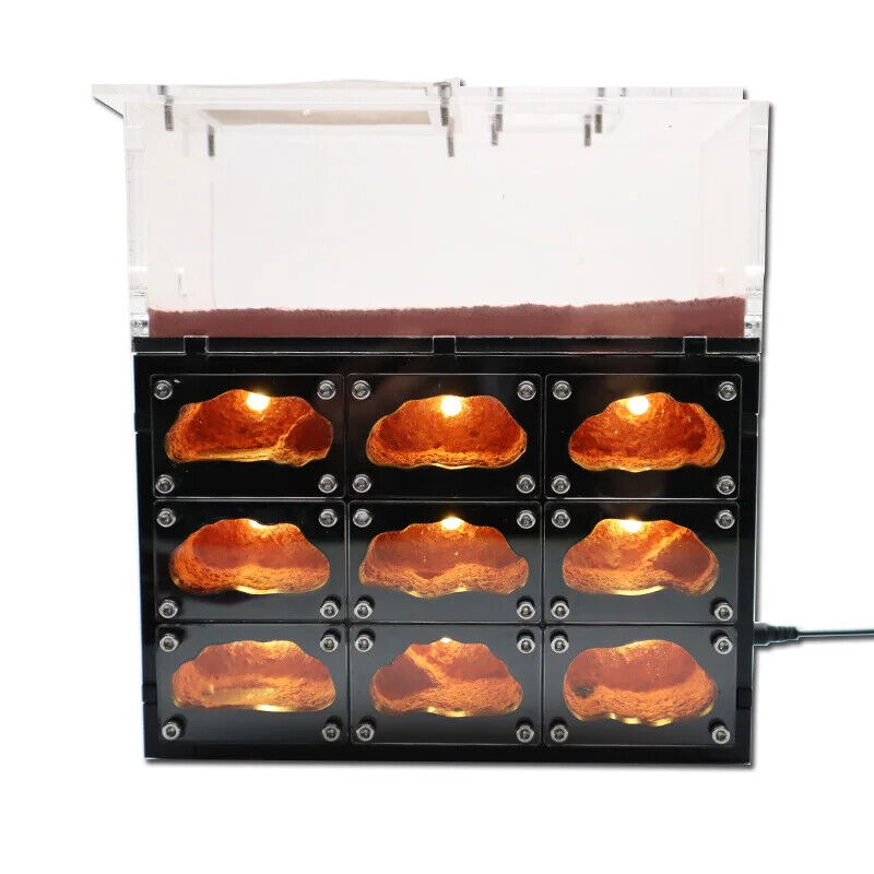 Ant Farm With Independent Lights Control Ecological Insect Anthill Nest Workshop