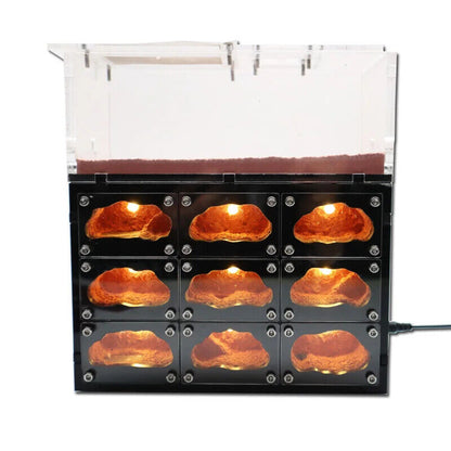 Ant Farm With Independent Lights Control Ecological Insect Anthill Nest Workshop