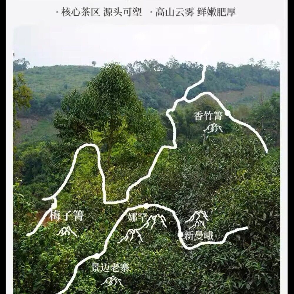 Pu-erh tea,2022,香竹箐 Xiangzhuqing,357g,Raw