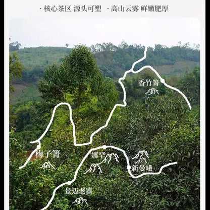 Pu-erh tea,2022,香竹箐 Xiangzhuqing,357g,Raw