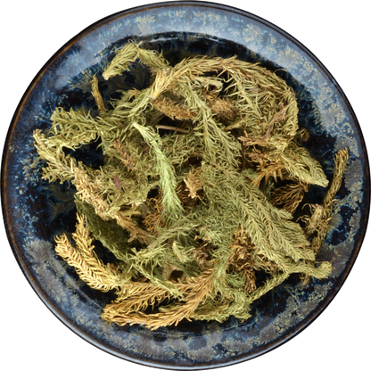 500g Organic Loose Leaf Shenjincao Herbal Drink Tendongrass Natural Herbal Tea