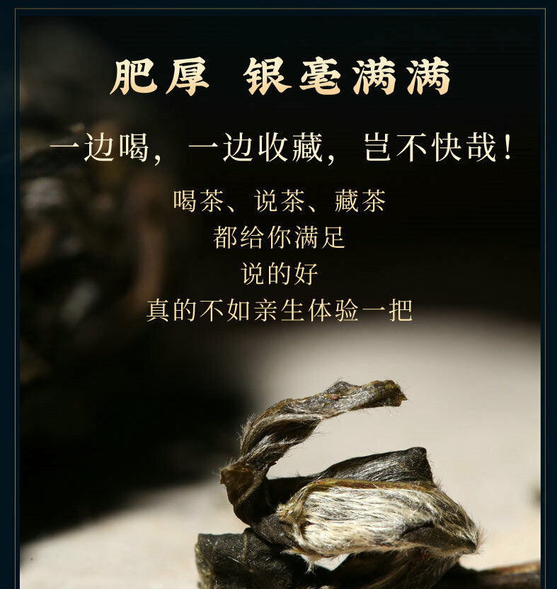 Pu-Erh, Sheng Jiayuan, Daxueshan, Gu 200, 2021y ,357g