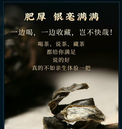 Pu-Erh, Sheng Jiayuan, Daxueshan, Gu 200, 2021y ,357g
