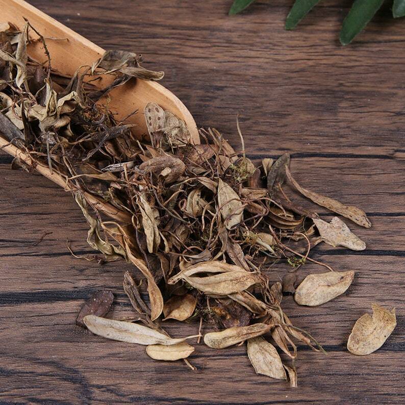 Herbal Lepidogrammitidis Drymoglossoidis Baoshilian Healthy Tea Great Quality