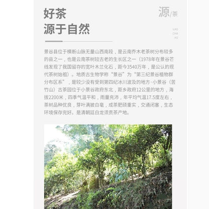 普洱茶，2016，小景谷小景谷，357克，生的