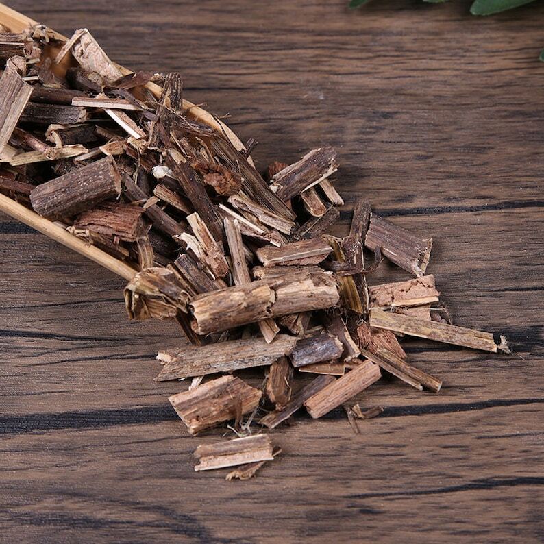 Organic Herbal Chinese Elder Sambucus Javanica Luying Great Quality