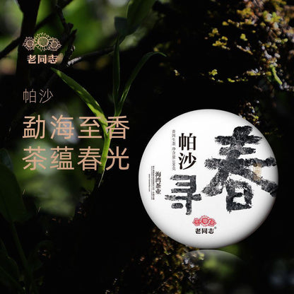 Lao Tong Zhi Puerh Tea Raw Tea Pasha Hilltop Pure Material Puerh Tea Cake 100g