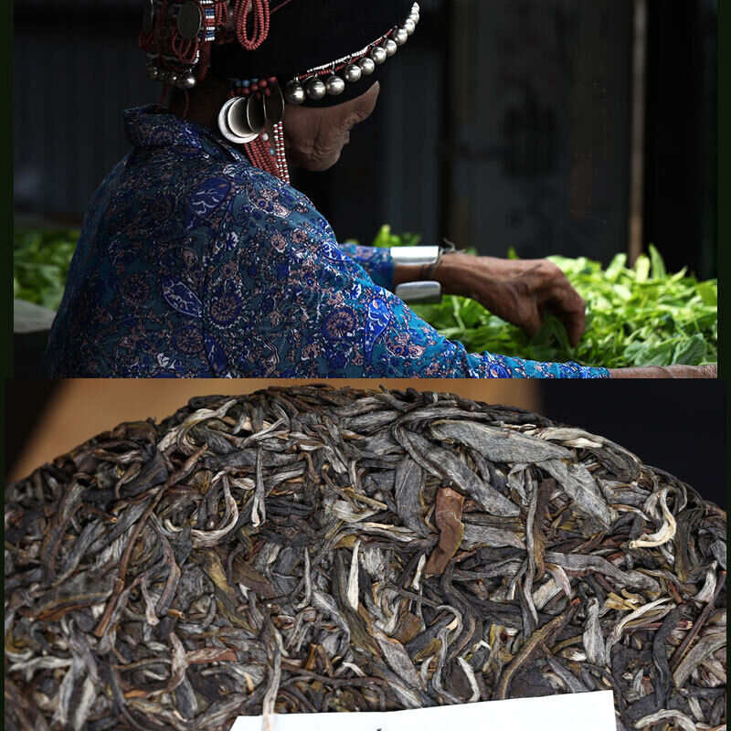 Haiwan Pa Sha Ancient Tree Puer Tea Aged Tree Sheng Puerh Tea 500g