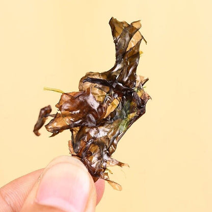 Dried Food Edible Seaweed for Cooking 紫菜 海苔 Porphyra Dried Instant Nori zicai