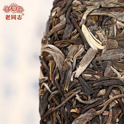 400g Top Raw Puer Tea Cake Haiwan The Gathering of Plant Spirit Shen Puerh Tea