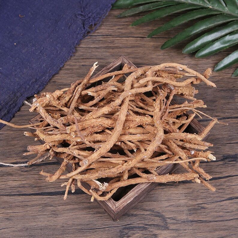 Pure Natural Thickleaf Croton Root Croton Crassifolius Jiguxiang Great Quality