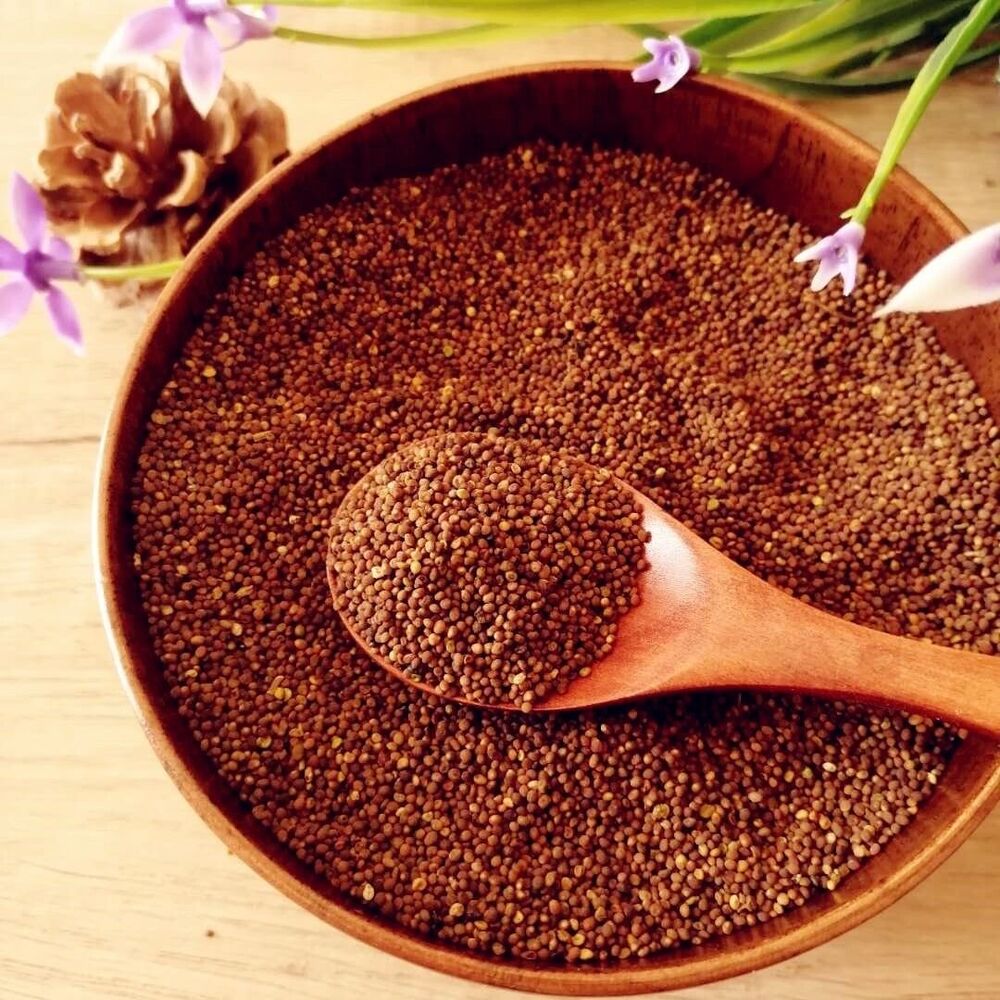 Dodder 菟丝子泡水菟丝子 补益肝肾 腰膝酸软 头晕耳鸣 须发早白 100g~500g Chinese Herbs