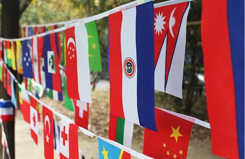 World Bunting Flag 14x21cm 20x30cm Football National Banner Decoration 24-200Pcs