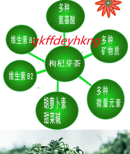 2023 Ningxia wolfberry leaf bud tea tip tea 2023芽茶宁夏枸杞叶芽茶尖茶 2罐装共500g