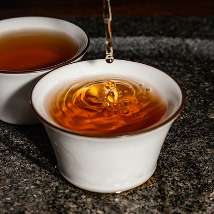 Baishaxi 2013 yr Classic 1953 Fucha Dark Tea Yu Pin Fu Tea Brick Tea 318g