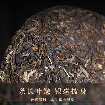 357g Puerh Spring Tea Pu Erh Tea Raw Tea Four Major Fragrances Tea Cake Tea