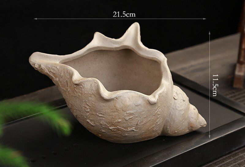 Flower Pot White Pottery Shell Shaped Succulent Plant Holder 21.5x11.5cm Ceramic