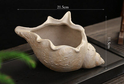 Flower Pot White Pottery Shell Shaped Succulent Plant Holder 21.5x11.5cm Ceramic