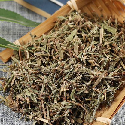 250g/500g Health Care Bianxu High Quality Original Healthy Herbal Tea 萹蓄