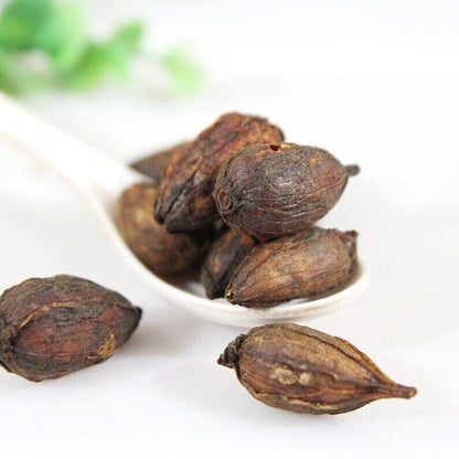 Organic Herbal Stir-fried Fructus Gardeniae Cape Jasmine Fruit Great Quality