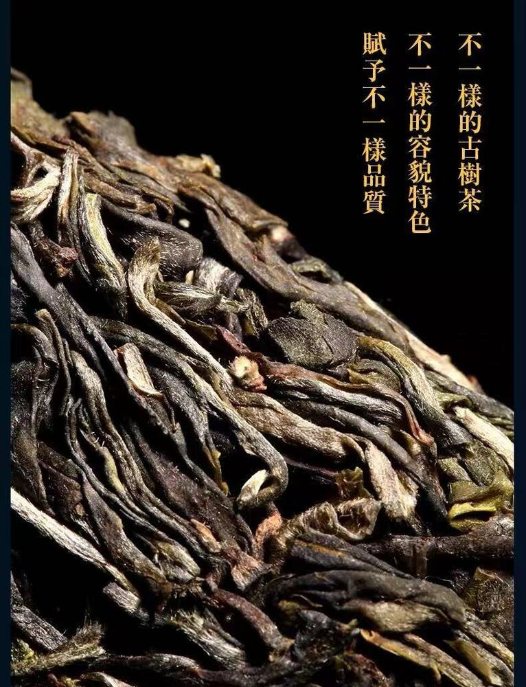 Pu-Erh, Sheng Jiayuan, Jingmai Mountain (pure material of ancient trees), 2017 Y, 357 g.