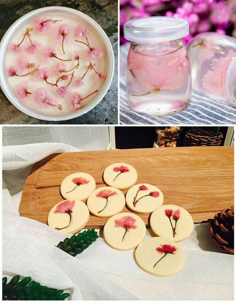 Japanese Salted Sakura Cha Pink Cherry Blossoms Traditional Preserved Flower Tea