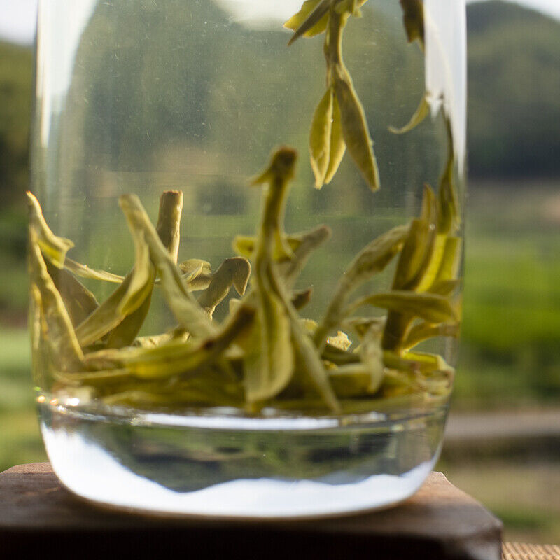 2023 1st Grade MingQian Long Jing Cha West Lake Dargon Well Tea 一级明前龙井