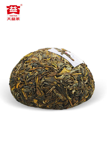 Classic Raw Pu'er Tea Jia Ji Tuo Cha 2018 Menghai Dayi Pu-erh Tea Raw Puer 500g
