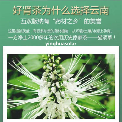 HERBA CLERODENDRANTHI 猫须草前列腺炎增生500g Clerodendranthus Spicatus 野生特级肾茶排肾结石膀胱结石尿道结石