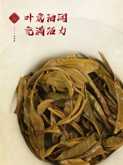 Pu-Erh, Chen Shenghao, Spirit Mouse Zhaocai, 2019y, 357g, Raw
