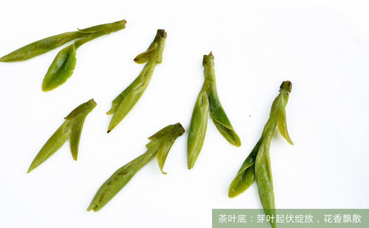 50g West Lake Longjing Tea Green Tea Long Jing Tea Premium Promotion Spring