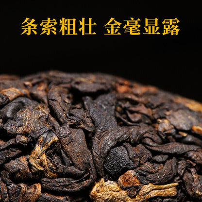 Xin Yi Hao Bulang Mountain 200 Years Old Tree Tuo Cha Pu-erh Tea 2021 500g Ripe