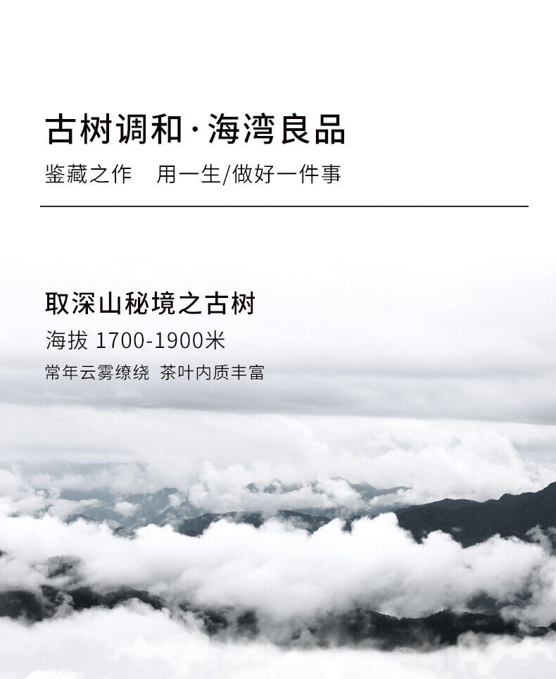 Liang Zai Pin 2013 Yunnan Famous Mountain Ancient Tree Haiwan Puer Tea Ripe 400g