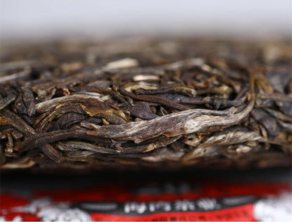 Haiwan High Mountain Ancient Tree Old Comrade Batch 191 500g Puer Tea